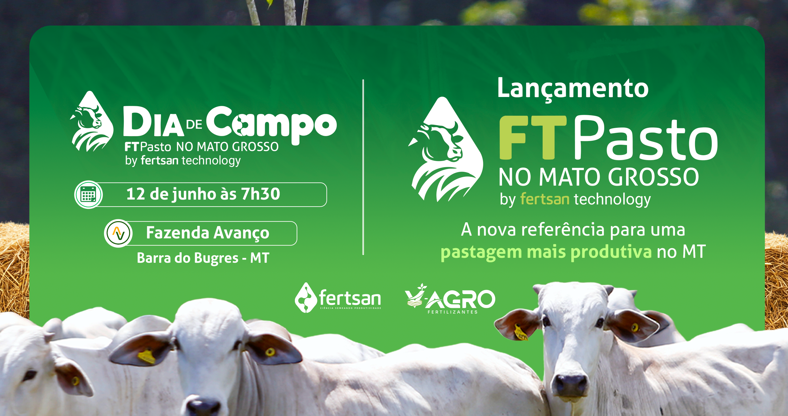 sem titulo