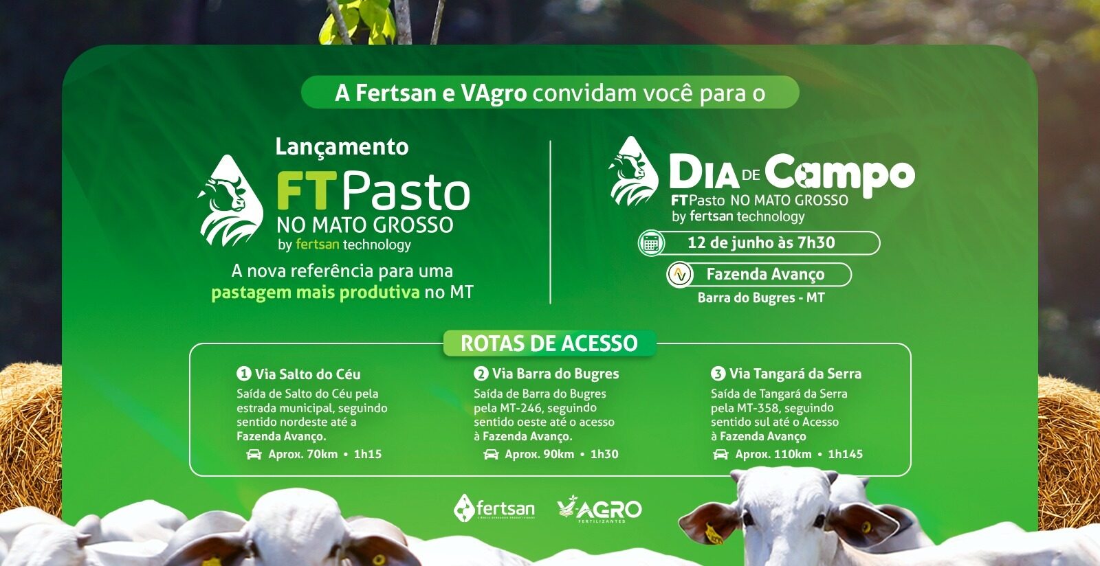 Dia de Campo do FT Pasto - FERTSAN